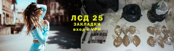 гидра Новодвинск