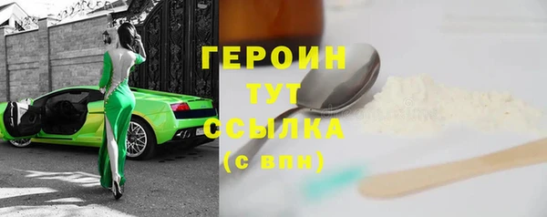 гидра Новодвинск