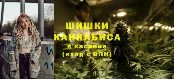 гидра Новодвинск