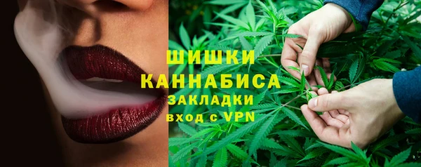 гидра Новодвинск